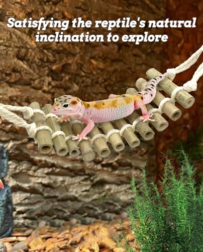 VCEPJH Reptile Bridge 2 Pack Crested Gecko Climbing Ladder Bamboo Basking Lounger Leopard Gecko Tank Accessories for Hermit Crab Juvenile Bearded Dragon Chameleon Small Lizard Tree Frog