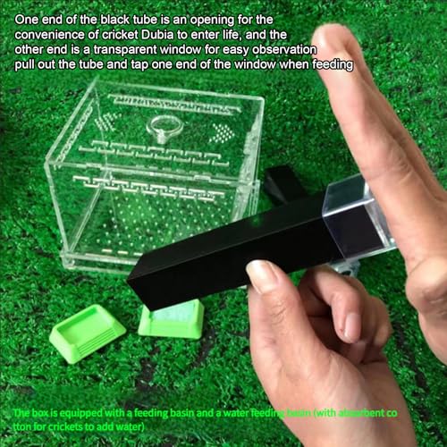Crickets Breeding Box Equipped with Food Water Basins and Absorbent Cotton Breeding Case Ventilated Crickets Enclosure