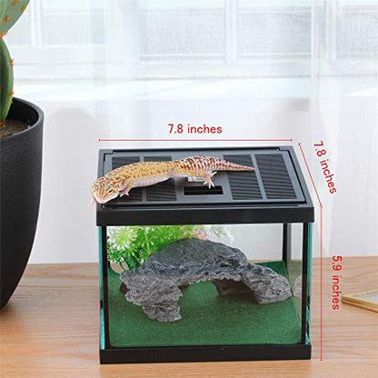 Glass Lizard Tank, Spider Box Kit, 7.8x7.8x5.9'' Tarantula Feeder Insects Beetle Habitat, Amphibians Terrarium for Small Pet, with Washable Mat, Resin Rock Shape Hideout, Artificial Flower | 1.55 US Gal For Baby Gecko And Small Insects, Vented Lockable Li