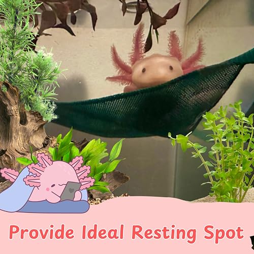 Axolotl Hammock for Aquarium and Ceramic Feeding Dish, Axolotl Hammock, Reptile Triangle Hammocks with Tray Feeder, Axolotls Accessories for Tank, Bearded Dragon Tank Accessories (Black, M) - size: M