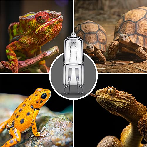 G9 Heat Lamp Bulbs for Reptile Mini Reptile Light Warm 50W 2 Pack | Dimmable G9 Mini Heat Bulb Warm White 50W, 2 Pin Base UVA Reptile Heat Lamp, Bearded Dragon Gecko Turtle Lizard, 2 Pack - color: Cream, size: G9 Heat Bulb