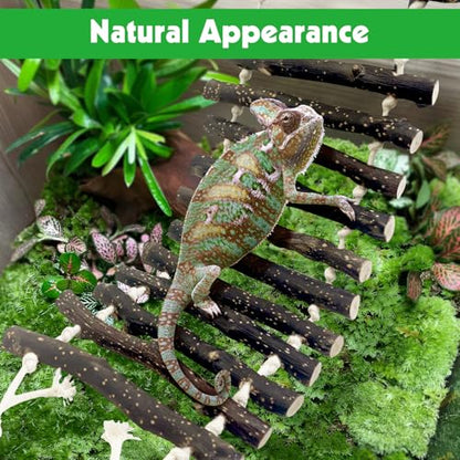 BNOSDM Large Reptile Bridge Hanging Bearded Dragon Climbing Ladder Suction Cup Lizard Lounger Wooden Gecko Tank Accessories for Chameleons Snakes Frog Hermit Crab (23.6 x 5.9 inches) - color: 1pc-Applewood