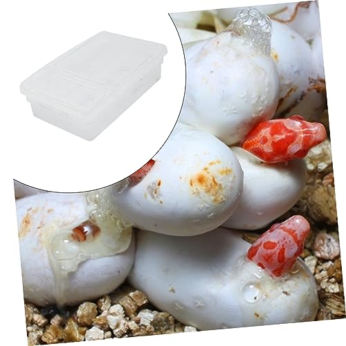 Abaodam Hatching Reptile Breeding Box Incubation Container for Lizards Snakes and Geckos Easy to Clean Design for Repeated Use and Visibility