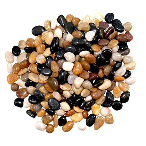 Polished Colored Pebbles 10 Lb. ½” – 1” inch Pebbles for Plants, Gardens, Décor, Landscaping, Succulent, Terrarium ,Decorative, 100% Natural Colorful Stone Pebbles without Fillers, Multicolored Rocks