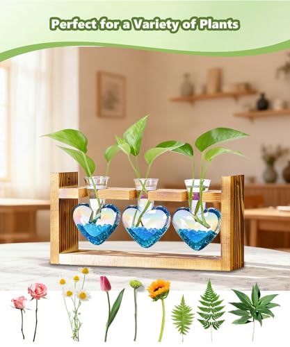 Plant Terrarium with Wooden Stand, 3 Heart Bulb Glass Vases | Wooden Stand Tabletop for Air Planter, Gifts for Mom Plant Lovers Mom Women Wife Grandma - color: Iridescent Clear