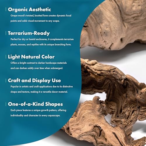 Driftwood - Grape Wood Hollow Log - Natural Aquarium Décor for Planted Tanks, Reptile Habitats, Bioactive Setups, and Terrariums – Small 1Pc, 5-10" - size: 1 Piece
