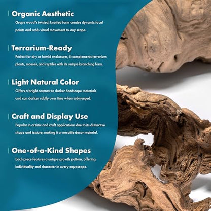Driftwood - Grape Wood Hollow Log - Natural Aquarium Décor for Planted Tanks, Reptile Habitats, Bioactive Setups, and Terrariums – Small 1Pc, 5-10" - size: 1 Piece
