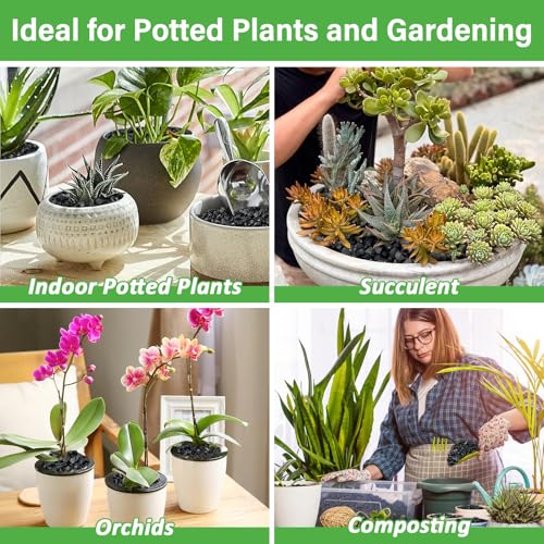 12QT All Natural Horticultural Charcoal- Activated Hardwood Plant Charcoal for Soil Amendment, Conditioning Bonsai Soil, Succulent, Terrarium Supplies, Indoor Plant Potting Soil - color: 12 QT