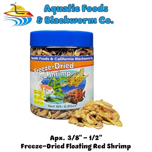 Red Shrimp, Freeze Dried 3/8" to 1/2" Floating Red River Shrimp for Cichlids, All Tropical Fish, Koi & Pond Fish, Aquatic Turtles, Reptiles, Rodents 1oz Canister