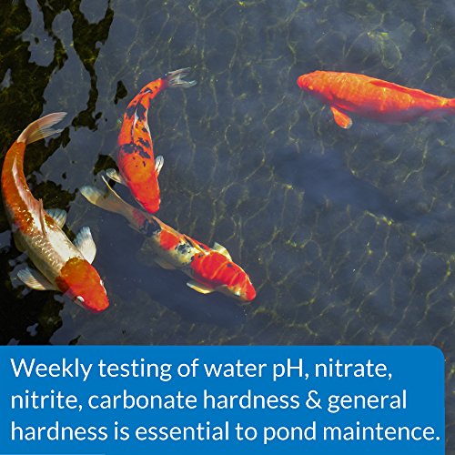 API POND 5 IN 1 POND TEST STRIPS Pond Water Test Strips 25-Count - style: Test Strips
