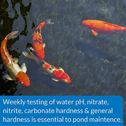 API POND 5 IN 1 POND TEST STRIPS Pond Water Test Strips 25-Count - style: Test Strips