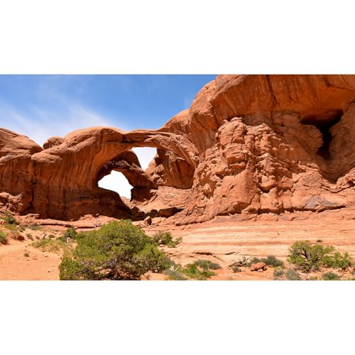 Desert Reptile Tank Background Beautiful Arches National Park Landscape Terrarium Background Blue Sky Gobi Style Aquarium Backgrounds Sunset Desert Fish Reptile Enclosure Tank Backgrounds 24x12in - color: Gobi Orange, size: 24(W)x12(H)inches/ 60(W)*30cm(H
