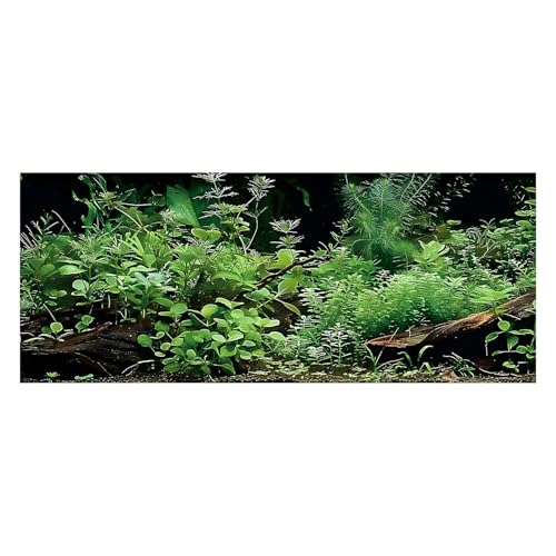 Aquatic Plant Aquarium Background, River Bed & Lake Tropical Undersea Tree BranchFish Tank Background, 6 EVA Double-Sided Tapes 48x24 inches/120x60 - color: Green, size: 48"L x 24"W