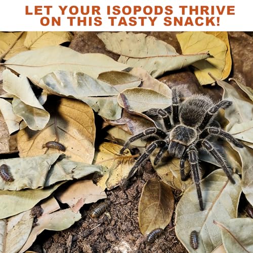 Dry Oak Leaf Litter for Reptiles,40Pcs Oak,60Pcs Longan & 20PCS Indian Almond Leaves,Leaf Litter Isopods Live Substrate Terrarium Bedding for Turtle,Snakes,Frogs,Isopod,Spider, Cricket