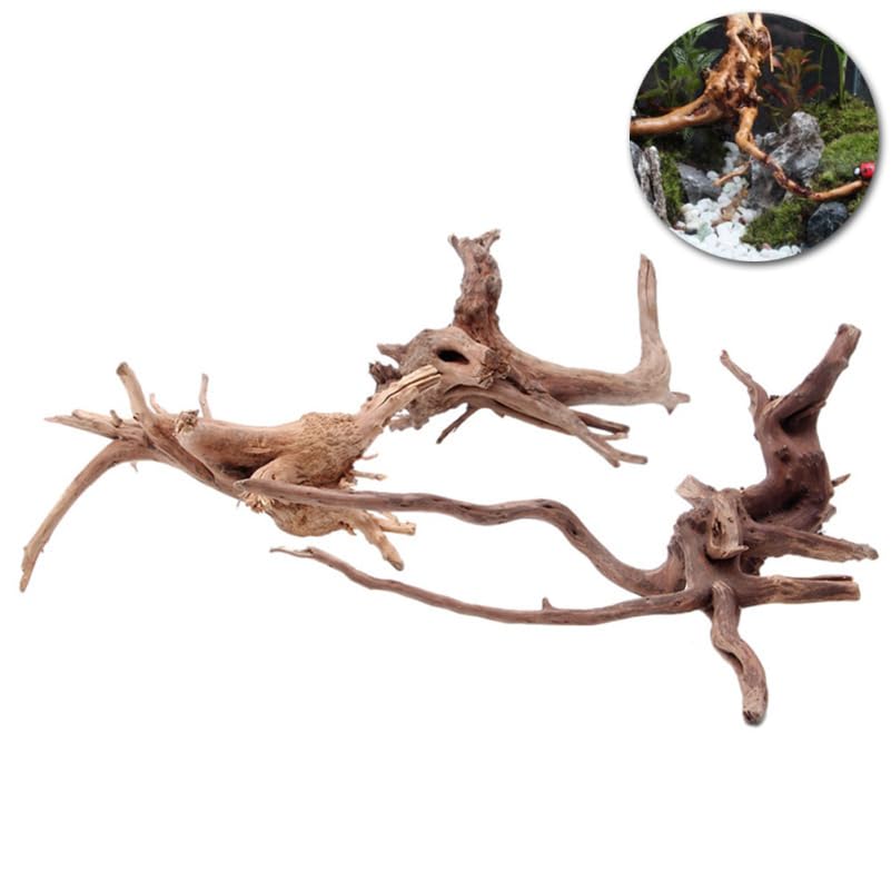 BESPORTBLE 1Pcs Natural Aquarium Driftwood : Spider Wood Branch - Reptile Tank Decor Accessories for Fish Bearded Dragon Turtle Terrarium 5.9In, Gift for Pet Lovers
