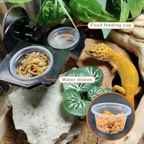 Tfwadmx 1oz 500pcs Gecko Feeding Cups, Reptile Food Dish and Water Cups Reptile Feeding Bowls Gecko Tank Accessories for Lizards Snake Crabs (1oz 500pcs) - size: 1oz 500 pcs