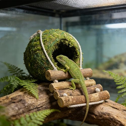 Handmade Moss Reptile Hanging Nest 4 Pcs Set, Small 4″ x 4″ | Gecko Hideout with Ladder, Terrarium Decor for Crested Gecko, Leopard Gecko, Lizard, Small Reptiles & Amphibians - size: Small 4″ x 4″
