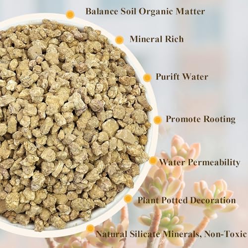 FANTIAN 2 lbs Maifanitum Stone for Plant, 5-8 MM Gravel Rocks for Succulent | Succulent Cactus Soil Potting Mix, Promote Soil Root Growth, Water Drainage and Plant Growth - color: Maifanitum