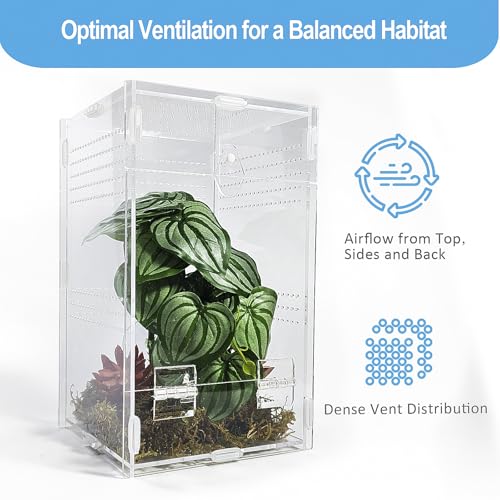 Jumping Spider Enclosure 6”x6”x10”, Arboreal Tarantula Enclosure, Praying Mantis Terrarium Critter Cage for Jumping Spider, Tarantula, Mantis, Snail, Isopods, Beetles, Millipedes - size: Large