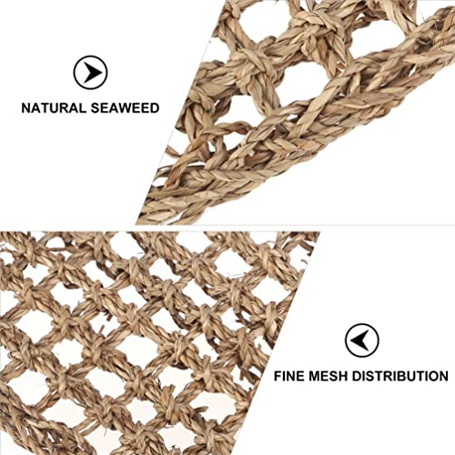 Mipcase 2Pcs Reptile Seagrass Hammock Lizard Hammock Hanging Ladder Lounger Climbing Accessories for Gecko Lizard Snake Hermit Crabs Geckos Other Small Animal Habitat Sleep Bed