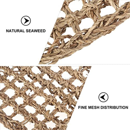 Mipcase 2Pcs Reptile Seagrass Hammock Lizard Hammock Hanging Ladder Lounger Climbing Accessories for Gecko Lizard Snake Hermit Crabs Geckos Other Small Animal Habitat Sleep Bed