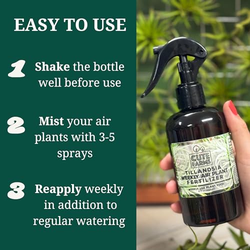 Cute Farms Tillandsia Air Plant Fertilizer | Gentle Weekly Use Formula Plant Food | Formulated Nutrients for Air Plants (8 oz Spray Bottle, 3 Pack) - size: 8 oz (3 Pack)