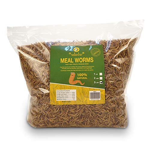 DIIG Non-GMO Dried Mealworms/Crickets/Black Soldier Fly - Treats for Birds Chickens Hedgehog Hamster Fish Reptile Turtles (5 lb, Mealworms) - size: 5 Pound (Pack of 1)