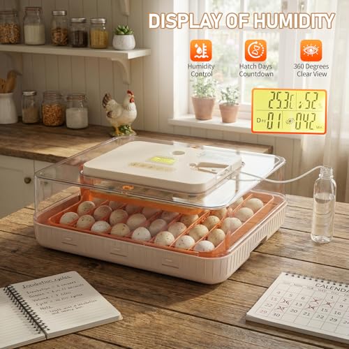 56 Egg Incubator with Temperature & Humidity Control | Automatic Egg Turning, Egg Candler, Automatic Water Filling, Day Counter