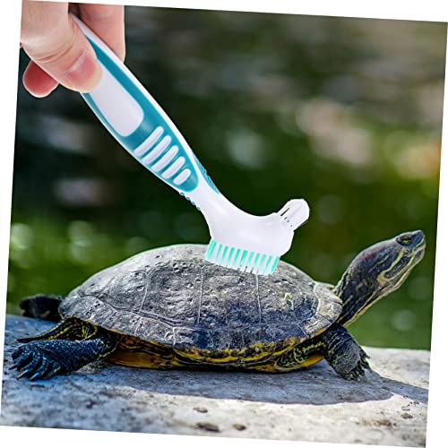 Toyvian Turtle Tank Cleaner Creative Denture Brush Multi-Functional Brush for Turtle Shell
