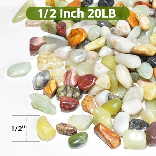 20 lbs Succulent Pebbles,1/2 Inch Small Rocks for Plants,Pebbles for Crafts,Suitable for Vases, Cactus Potted Plants, Fish Tanks,Fountain - color: Mixed Color, size: 1/2 Inch 20 LB