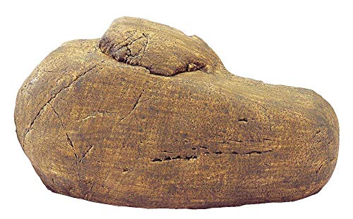 Exo Terra Reptile Den, Hideout Tunnel System for Terrariums, Medium, PT2862 - size: Medium