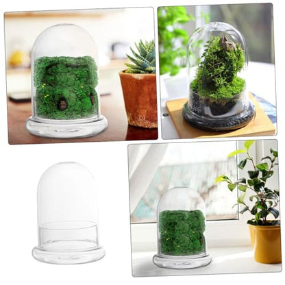 POPETPOP Glass Ecosystem Bottle Air Plant Holder DIY Bell Jar Terrarium Kit Decorative Plant Pot Drainage