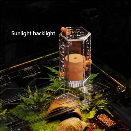 Reptile Tank Turtle breeding Tank Sun Drying Platform Climbing Household Desktop Easy Assembly(Medium) - size: Medium