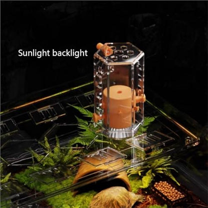Reptile Tank Turtle breeding Tank Sun Drying Platform Climbing Household Desktop Easy Assembly(Medium) - size: Medium