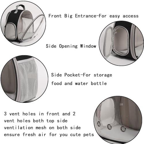 Desert Iguana Backpack Carrier,Bearded Dragon Portable Backpack Carrier with Small Backpack Harness Leash Set,Space Capsule Clear Bubble Window Travel Backpack for Lizard Travel,Guinea Pig,Rabbit - color: Black