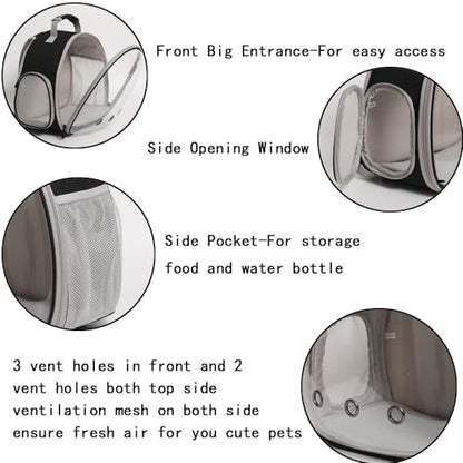 Desert Iguana Backpack Carrier,Bearded Dragon Portable Backpack Carrier with Small Backpack Harness Leash Set,Space Capsule Clear Bubble Window Travel Backpack for Lizard Travel,Guinea Pig,Rabbit - color: Black