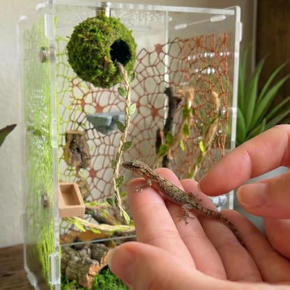 Jumping Spider Enclosure Accessories Kit - Magnetic Moss Ball Hideout, 2 Rock Ledges, Feeding Bowl, Climbing Mesh Nets & Rope Ladder - Natural Forest Habitat Decor for Regal (Moss Cave with Rope) - size: Moss Cave with Rope