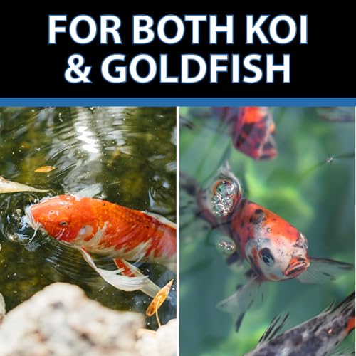CrystalClear Staple Pond Fish Food for Koi & Goldfish, 8.8 Pound Bucket | Protein packed floating pellets for summer nutrition with easy digestion to support healthy growth and vitality - size: 8.8 Pound (Pack of 1)
