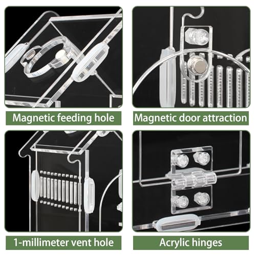 Magnetic Acrylic Terrarium for Jumping Spiders & Small Pets – Easy-Access Front Opening, Feeding Hole, Ideal for Reptiles, Tarantulas, Hermit Crabs & More