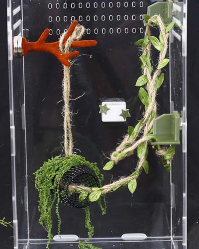 5Pcs Jumping Spider Enclosure Accessories with Hammock, Magnetic Climbing Rope, Resting Ledge Platforms and Feeding Dish Bowl & Hook for Terrarium Habitat (5Pcs Combination Kit) - color: 5Pcs Combination Kit