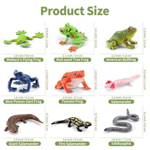 9PCS Amphibian Reptile Animals Figurines Frog Toys for Kids 3+ | Realistic, Safe, Rainforest Figurines, Salamanders Figures, Cake Toppers, Cupcake Decor, Birthday Gift for Boys Girls - style: 9PCS Amphibian Animals