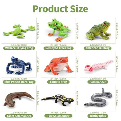 9PCS Amphibian Reptile Animals Figurines Frog Toys for Kids 3+ | Realistic, Safe, Rainforest Figurines, Salamanders Figures, Cake Toppers, Cupcake Decor, Birthday Gift for Boys Girls - style: 9PCS Amphibian Animals