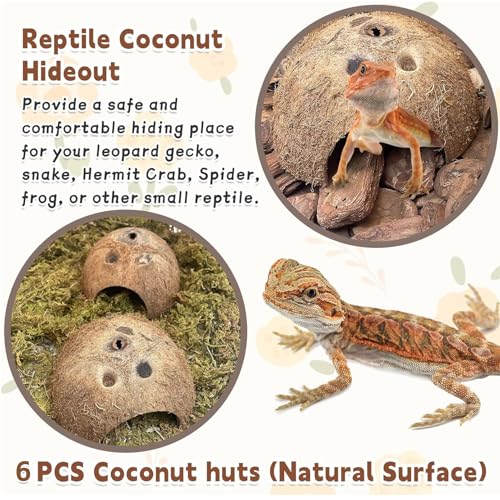PINVNBY Natural Coconut Reptile Hideouts Lizard, Coco Hut Hermit Crab Hut Aquarium Fish Hide Cave for Small Reptile Crested Gecko Leopard Gecko Spider Snail Climber Toys (6 PCS Natural Surface) - size: 6 PCS Natural Surface