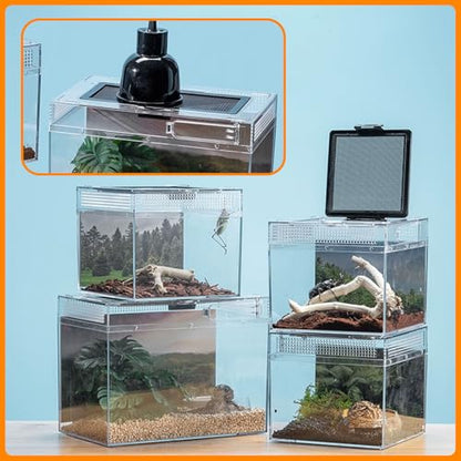 Reptile Terrarium, Jumping Spider Enclosure Starter Kit, Leopard Gecko Habitat Container, 8"x8"x7"Reptile Tank for Tarantula, Hermit Crab, Insect, Fish, Frog, Small Bearded Dragon, Lizard - size: 8"x8"x7"