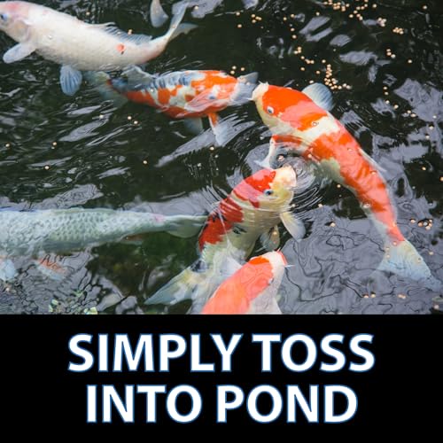 CrystalClear Staple Pond Fish Food for Koi & Goldfish, 8.8 Pound Bucket | Protein packed floating pellets for summer nutrition with easy digestion to support healthy growth and vitality - size: 8.8 Pound (Pack of 1)