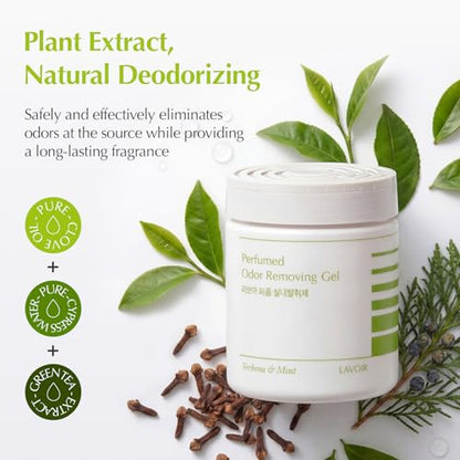LAVOIR Odor Removing Gel | Long-Lasting Air Freshener Odor Eliminator for Bathroom, Closet, Car, Office | No Spill Gel, Plant-Based Formula | 8.8 oz | Verbena & Mint Scent