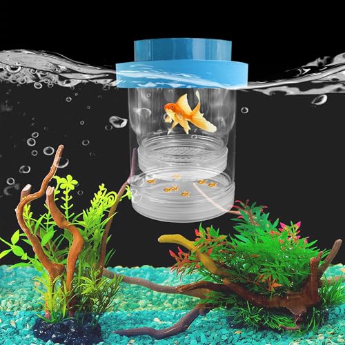 Large Floating Fish Breeding Box, Plastic Clear Breeding Box for Fish Tank | Aquarium Divider Incubator with Suction Cup, Adjustable Isolation Hatchery for Shrimp Guppy