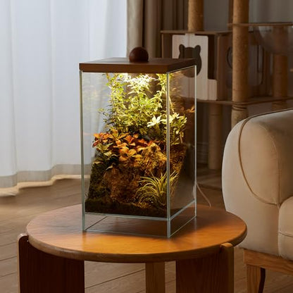 Large Glass Plant Terrarium: 13.7H+7.8W Terrarium with Light | Desktop Propagation Station for Succulent/Moss/Miniature Gardening Landscape/Betta Fish Tank