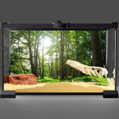 30x12 in Forest Terrarium Backdrop Green Tree Reptile Habitat Background | AWERT Tropical Aquarium Background Durable Polyester - size: 30x12in/75x30cm