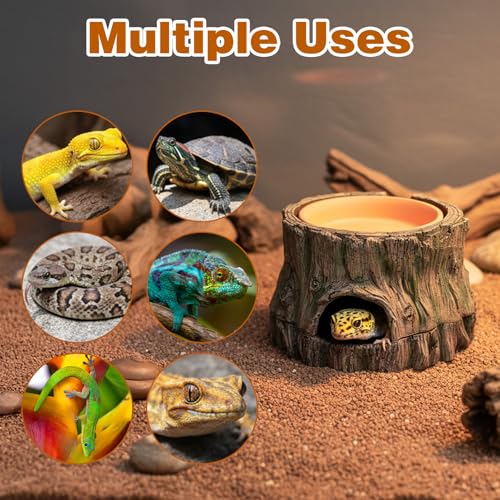 3 in 1 Reptile Hide Cave with Detachable Base & Humidity Dish, Essential Terrarium Decor for Crested Gecko, Leopard Gecko, Lizard, Snake, Crabs
